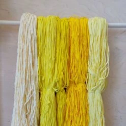 Matonkudelajitelma 5 Kg-03 Keltaiset (keltaisen Sävyjä)